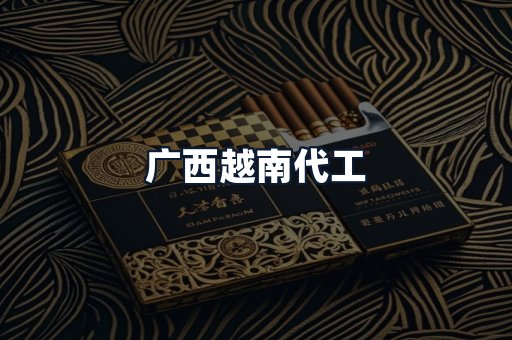 广西越南代工